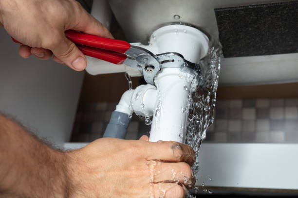 Best Flooded house restoration  in Matteson, IL