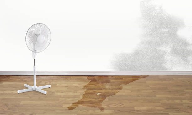 Water damage restoration mold remediation in Matteson, IL
