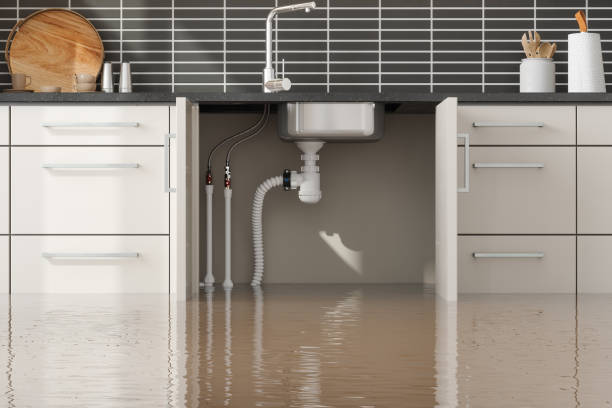 Best Local water damage restoration  in Matteson, IL
