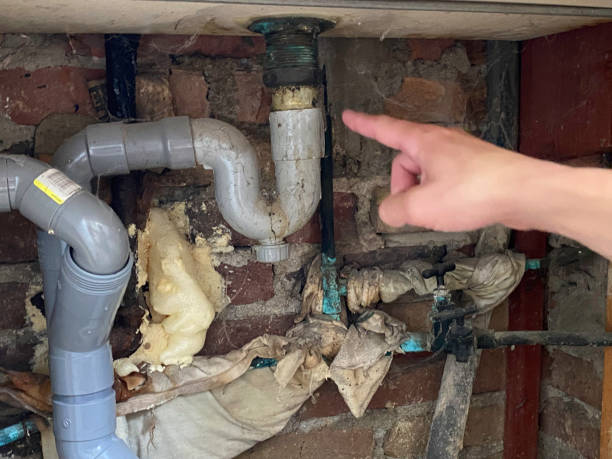 Best Sewage cleanup and water damage restoration  in Matteson, IL