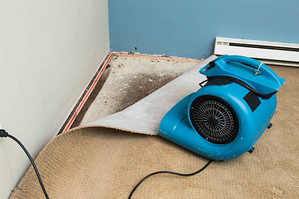 Best Water damage contractors near me  in Matteson, IL